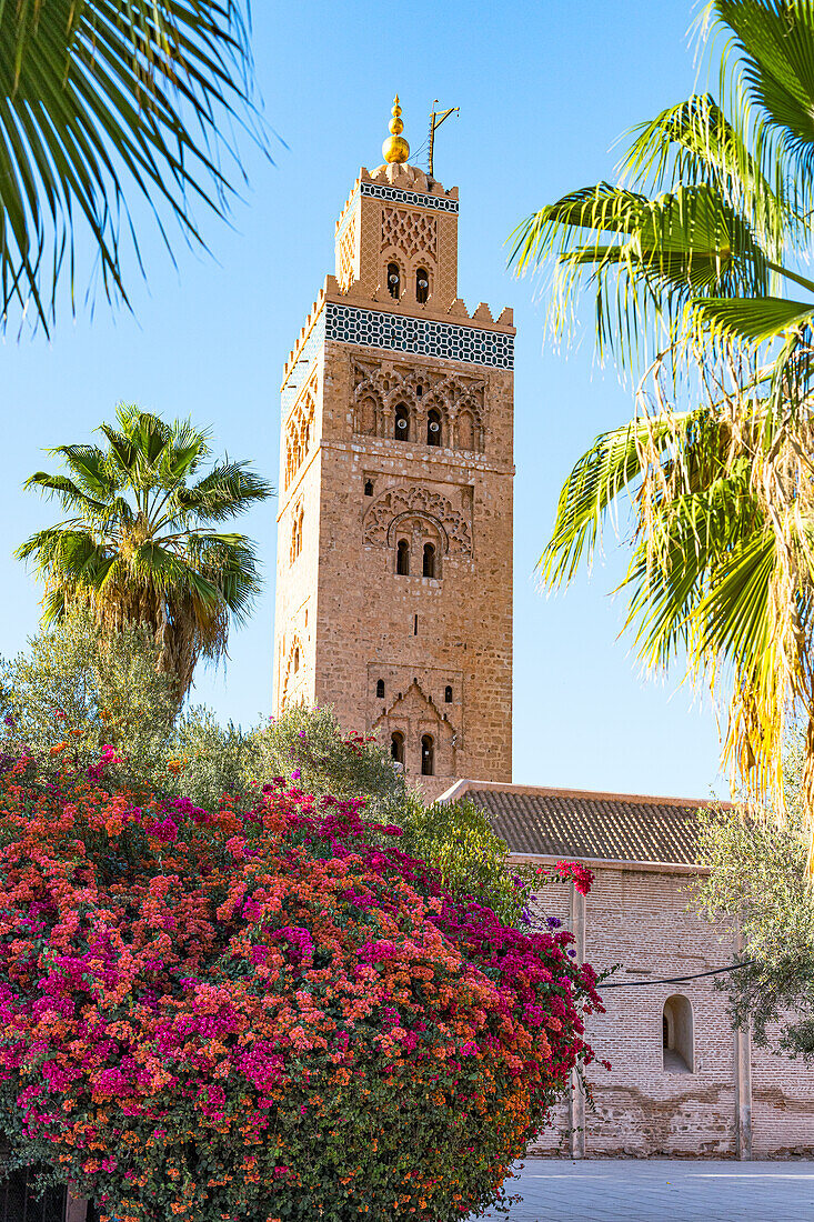 Alter Minarett-Turm der Koutoubia-Moschee, UNESCO-Weltkulturerbe, umrahmt von Blumen im Frühling, Marrakesch, Marokko, Nordafrika, Afrika
