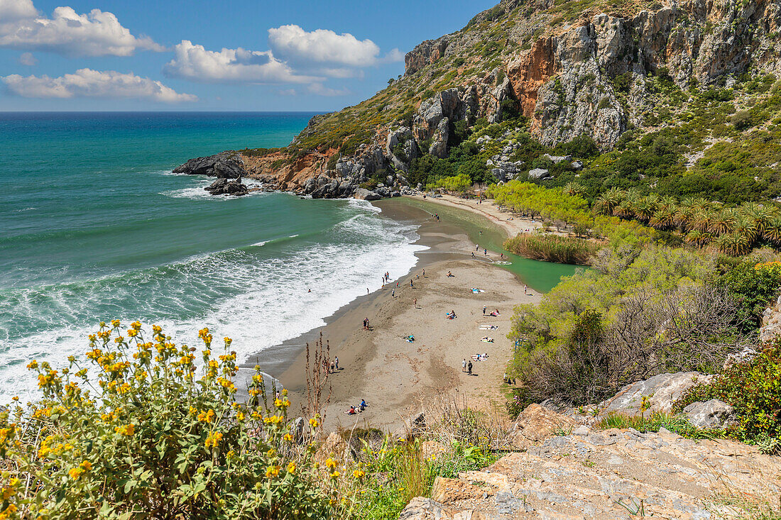 Palmenstrand von Preveli, Rethymno, Kreta, Griechische Inseln, Griechenland, Europa