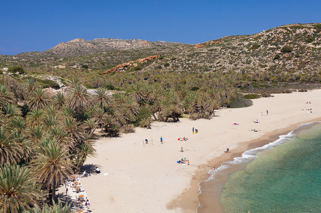 Palm beach of Vai, Lasithi, Crete, Greek Islands, Greece, Europe