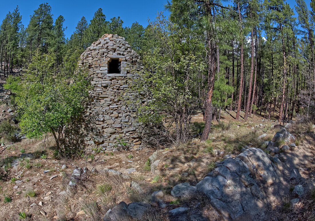 Der historische Walker-Kohleofen aus den späten 1880er Jahren, in dem Eichenholz zu Holzkohle für Silberschmelzer verarbeitet wurde, Prescott National Forest, südlich von Prescott, Arizona, Vereinigte Staaten von Amerika, Nordamerika