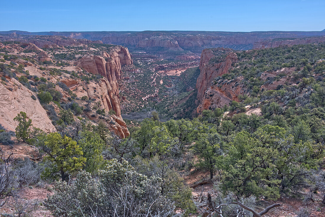 Betatakin Canyon, Navajo National Monument, inside the Navajo Indian Reservation northwest of the town of Kayenta, Arizona, United States of America, North America 