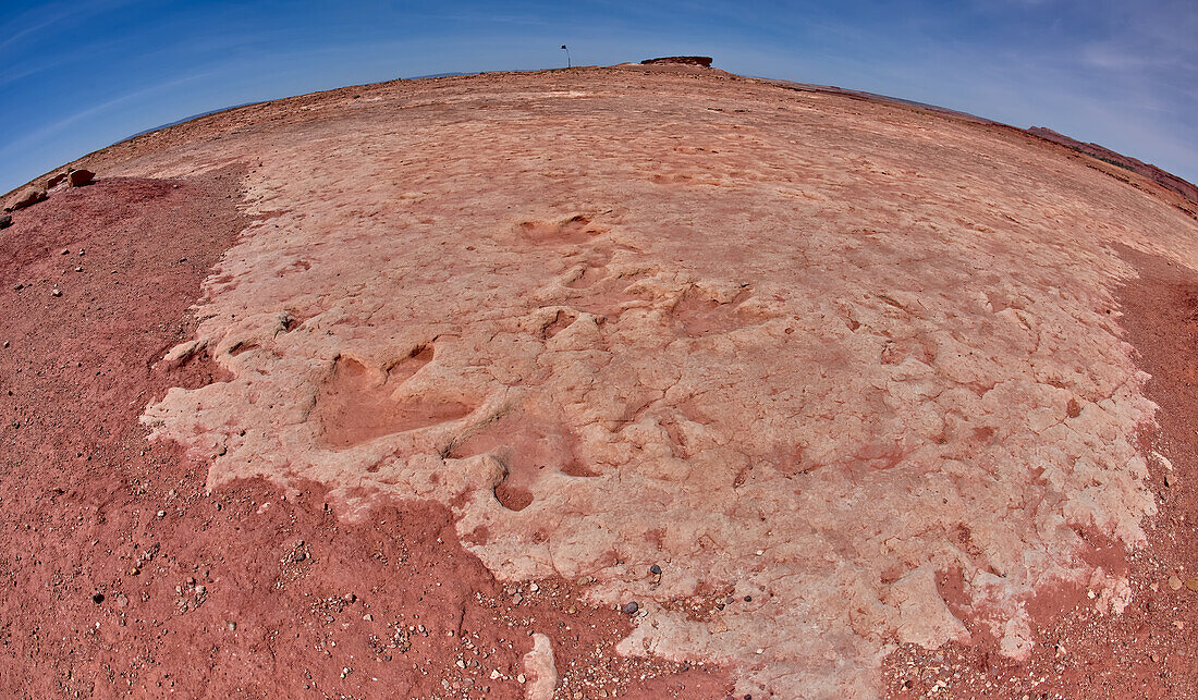 Dinosaurierspuren bei einer Touristenattraktion im Navajo-Indianer-Reservat bei Tuba City, Arizona, Vereinigte Staaten von Amerika, Nordamerika