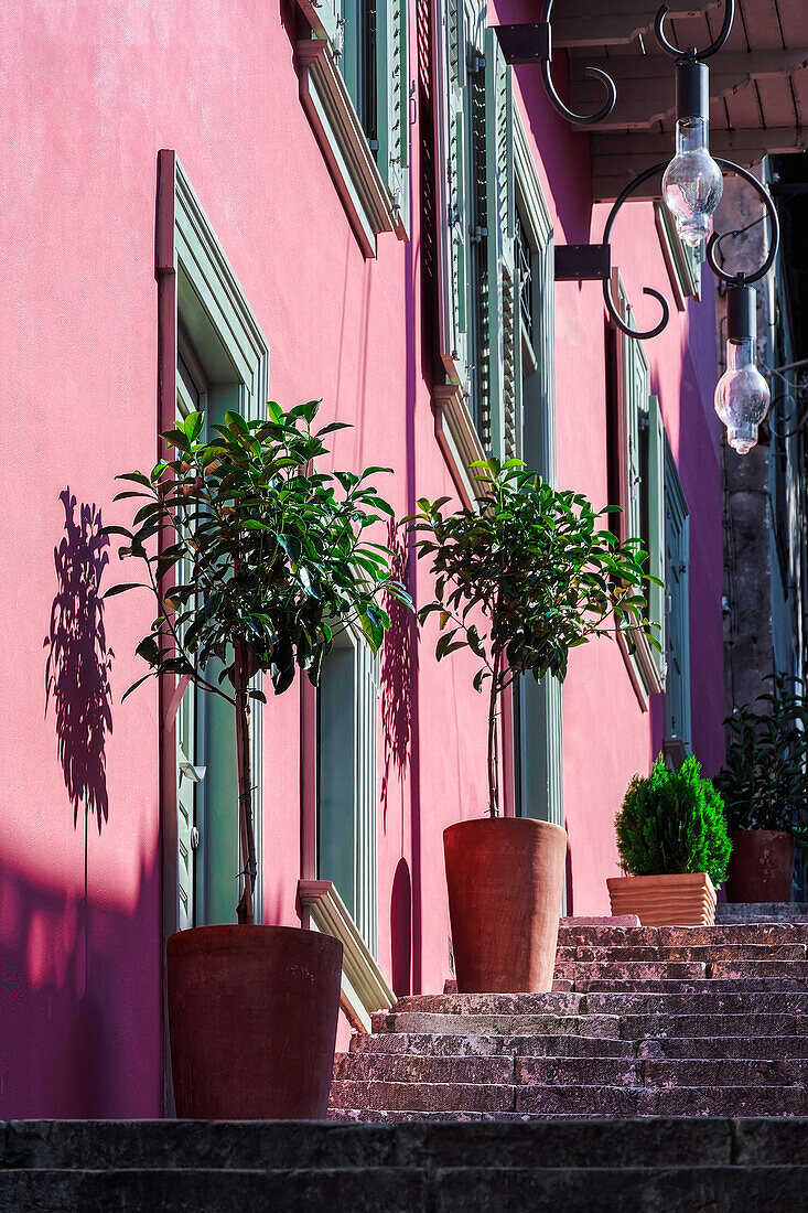 Eine Treppe mit großen dekorativen Pflanzentöpfen vor einem traditionellen Haus mit lebhafter Wandfarbe und hölzernen Fensterläden in Nafplion, Peloponnes, Griechenland, Europa