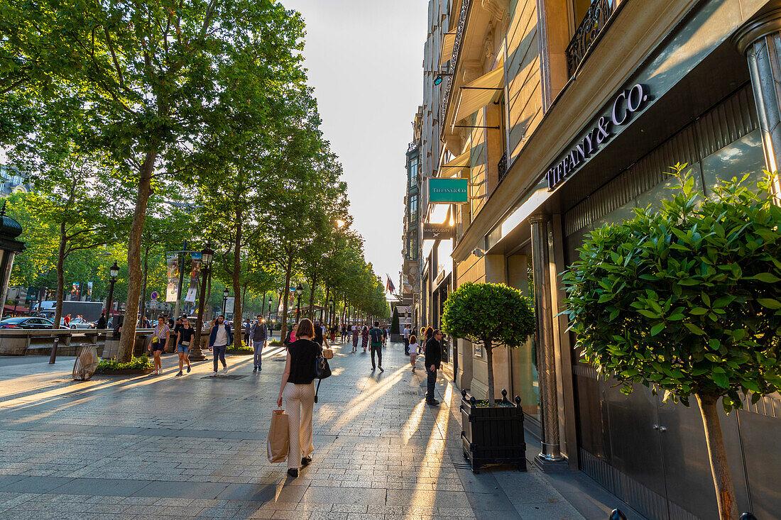 The Avenue des Champs-Elysees, Paris, France, Europe