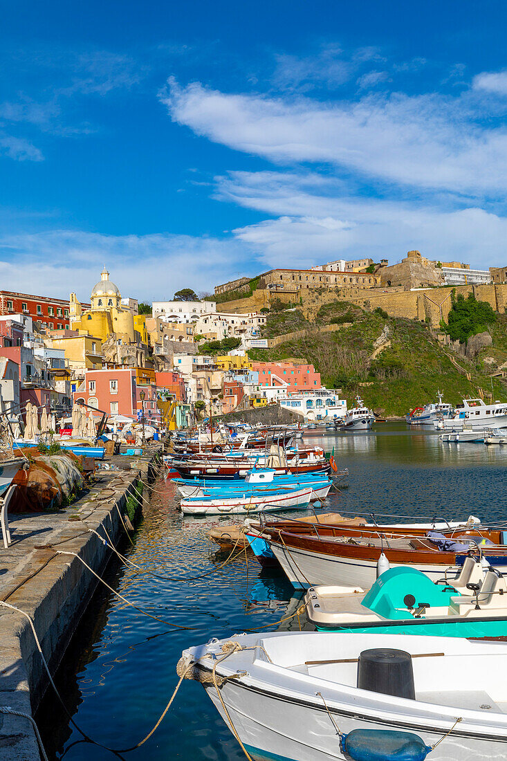 Marina di Corricella, Procida, Flegreische Inseln, Kampanien, Italien, Europa