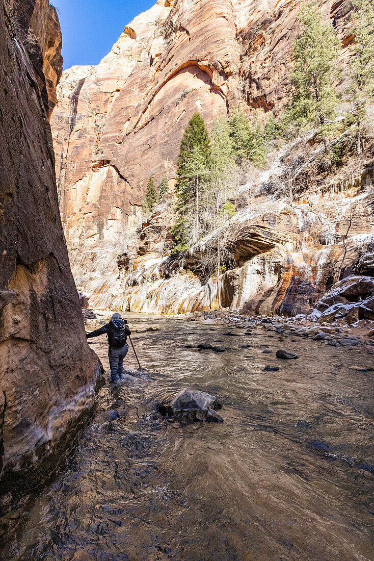 USA, Utah, Springdale, Zion National Park, Senior woman crossing stream while hiking in mountains