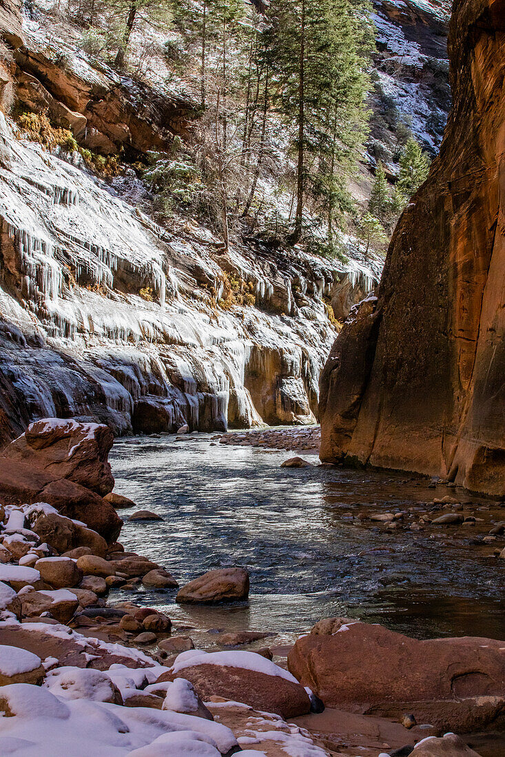 USA, Utah, Springdale, Zion National Park, von Felsen umgebene Flussschlucht