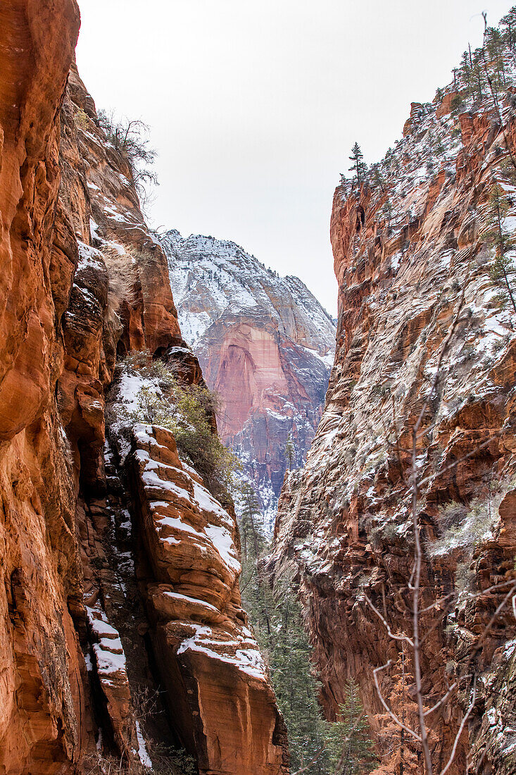 USA, Utah, Springdale, Zion National Park, Narrow canyon in mountains in winter