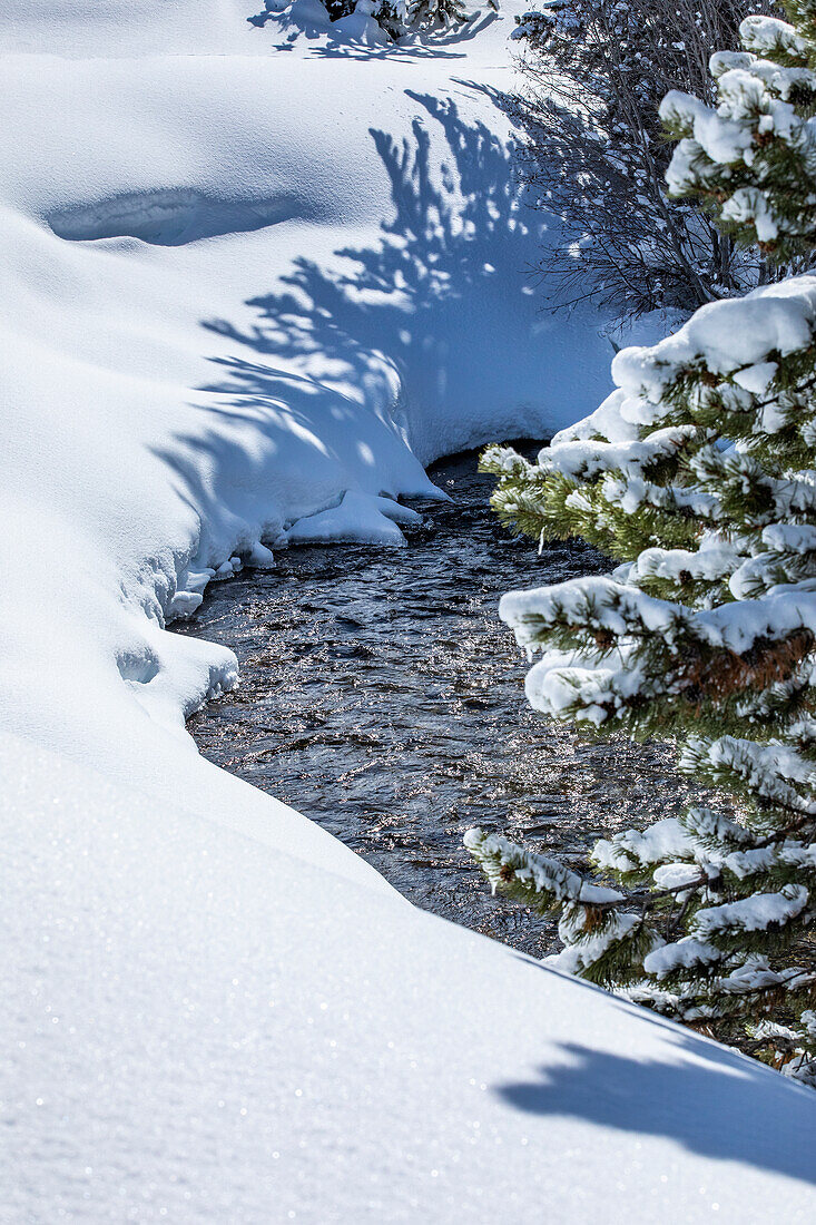 USA, Idaho, Sun Valley, Forest stream with snow on banks