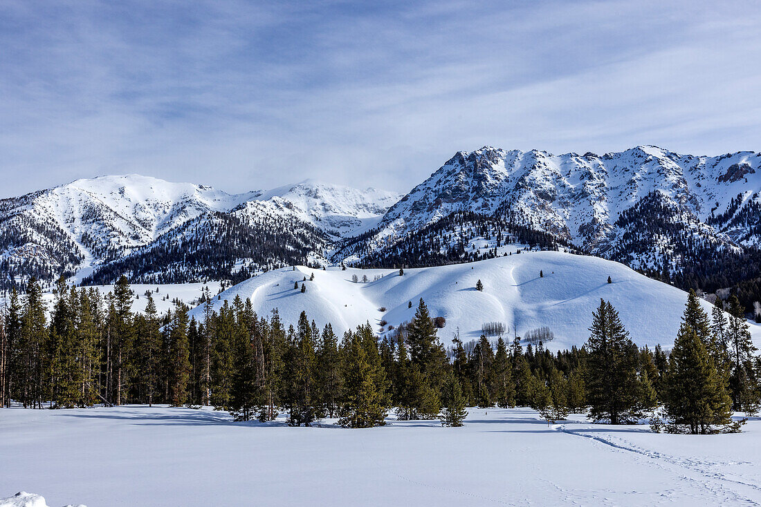 USA, Idaho, Sun Valley, Schneebedeckte Bergspitzen und Bäume