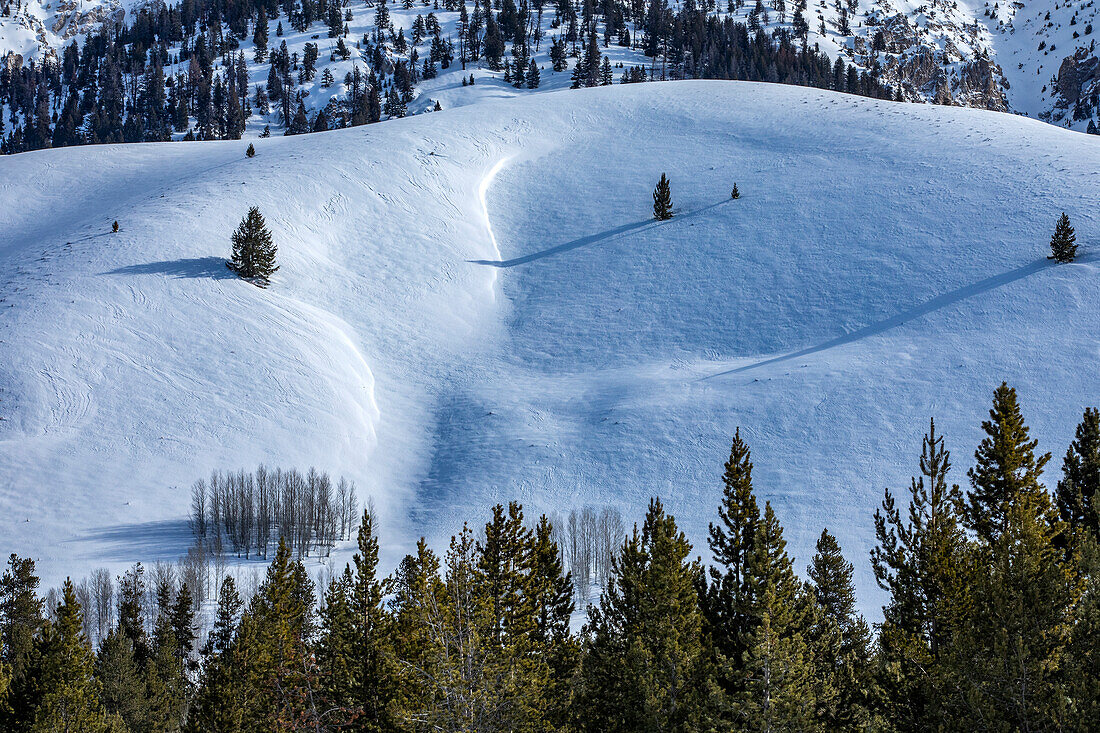 USA, Idaho, Sun Valley, Schneebedeckter Berghang mit Bäumen