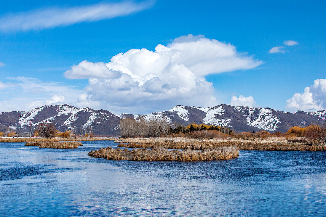 Puffy clouds above mountains and marsh 