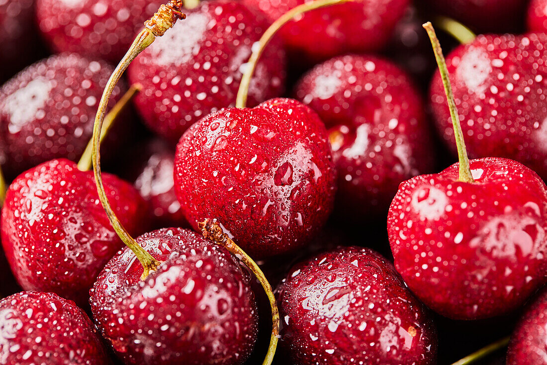 Close-up of fresh cherries with water drops