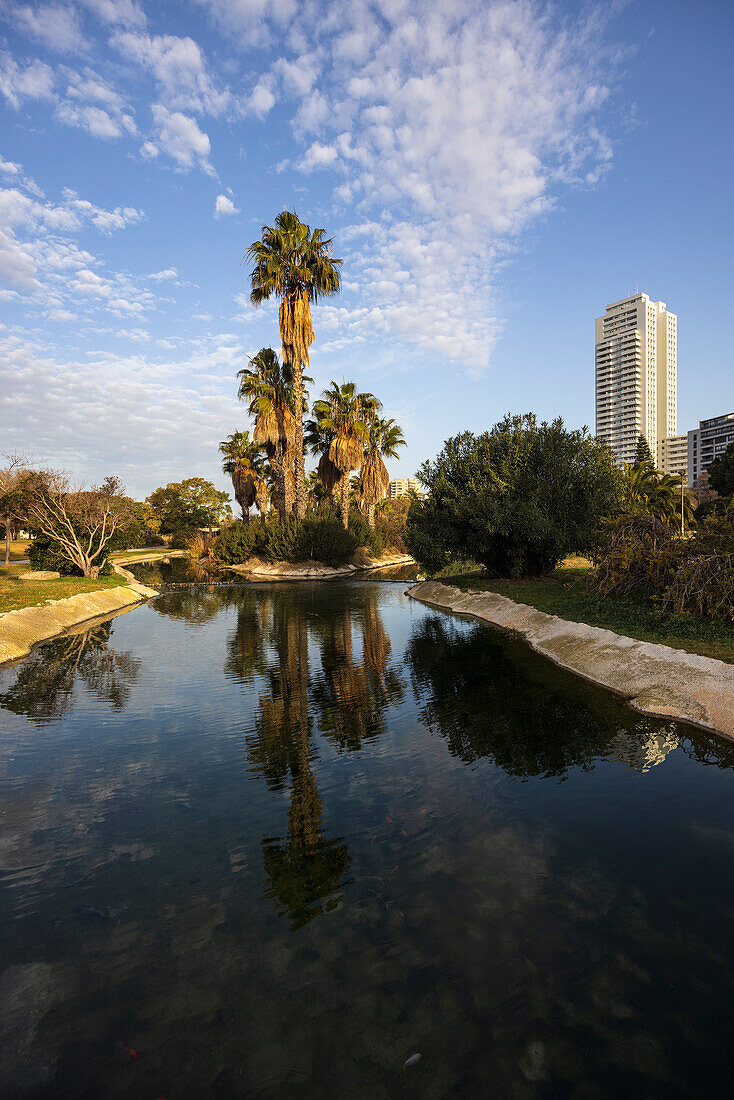 Spanien, Valencia, Palmen am Teich im Stadtpark