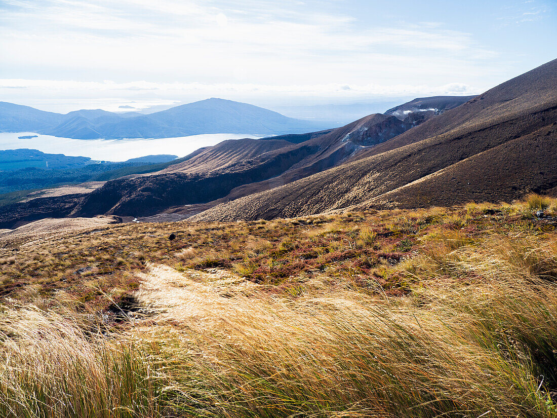 New Zealand, Waikato, Tongariro National Park, Volcanic landscape