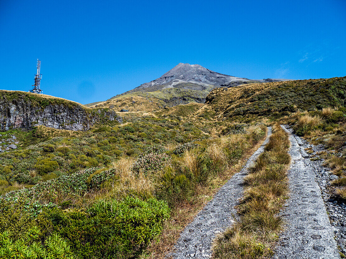 Neuseeland, Taranaki, Egmont National Park, Wanderweg