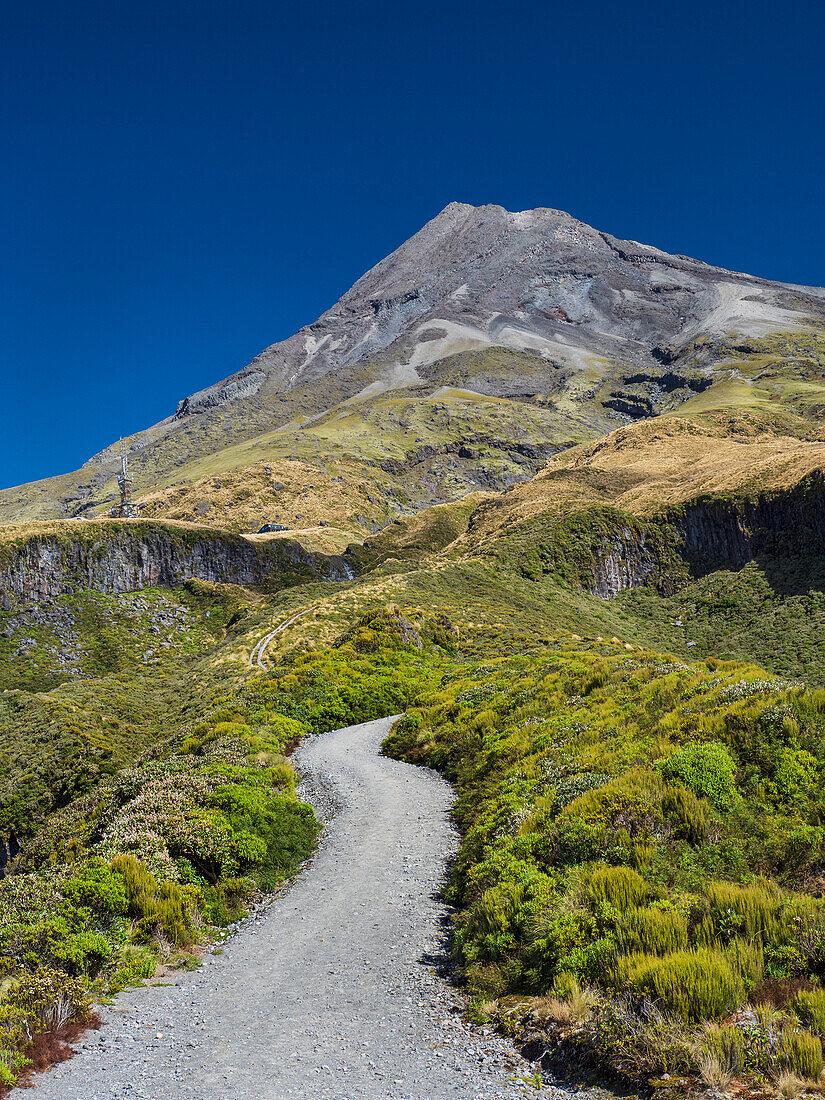 Neuseeland, Taranaki, Egmont National Park, Wanderweg