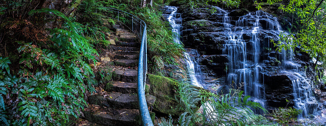 Australien, NSW, Wentworth Falls, Treppe und Wasserfall im Wald im Blue Mountains National Park