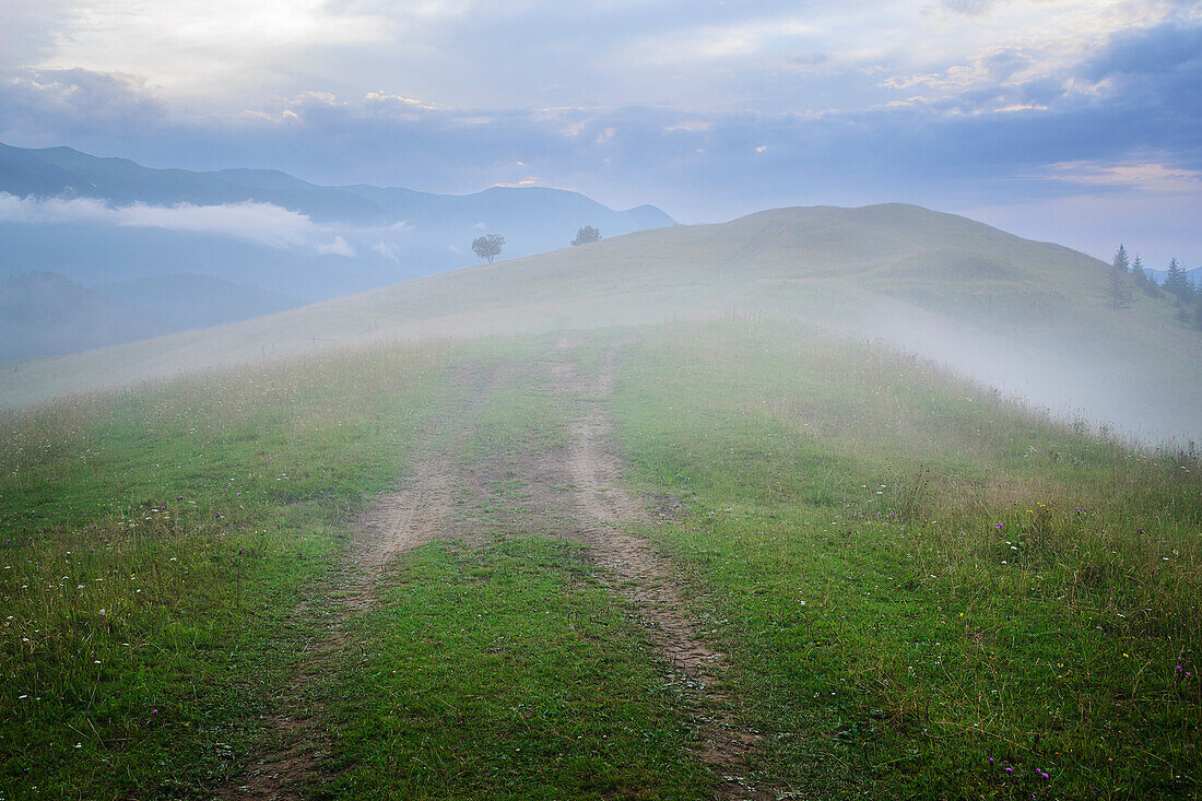 Ukraine, Gebiet Ivano Frankivsk, Bezirk Verkhovyna, Dorf Dzembronya, Nebel über grüner Landschaft in den Karpaten