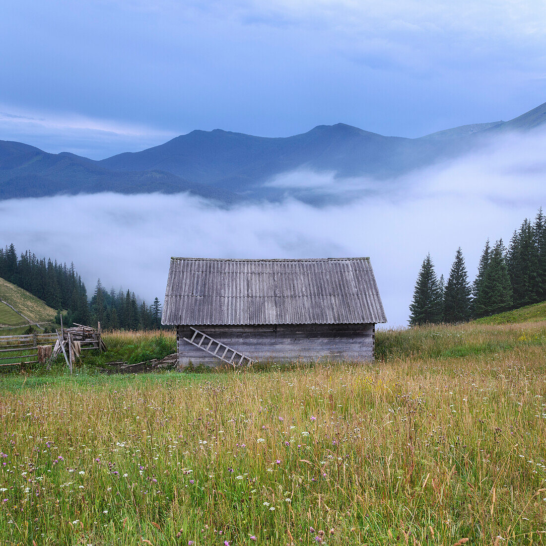Ukraine, Ivano Frankivsk region, Verkhovyna district, Dzembronya village, Wooden hut in Carpathian Mountains