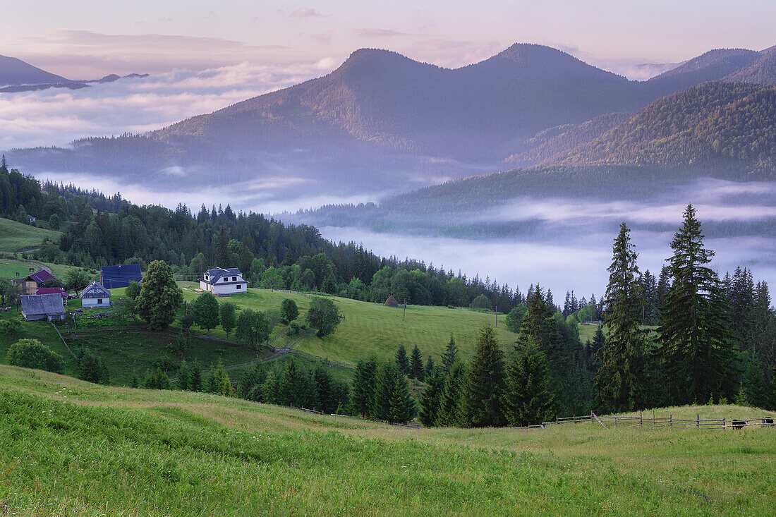 Ukraine, Ivano Frankivsk region, Verkhovyna district, Dzembronya village, Rolling landscape in Carpathian Mountains