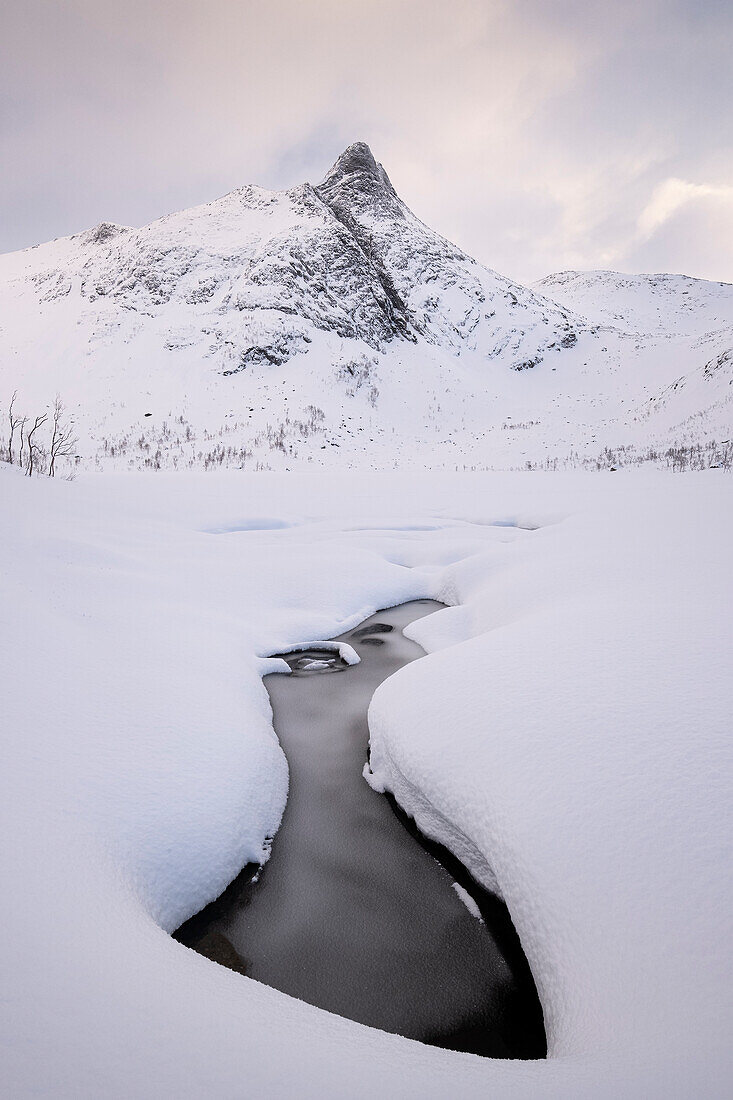 Looking to Krokelvvatnet Frozen Lake and Krokelvtindan mountain in full winter conditions, Senja, Troms og Finnmark County, Norway, Scandinavia, Europe