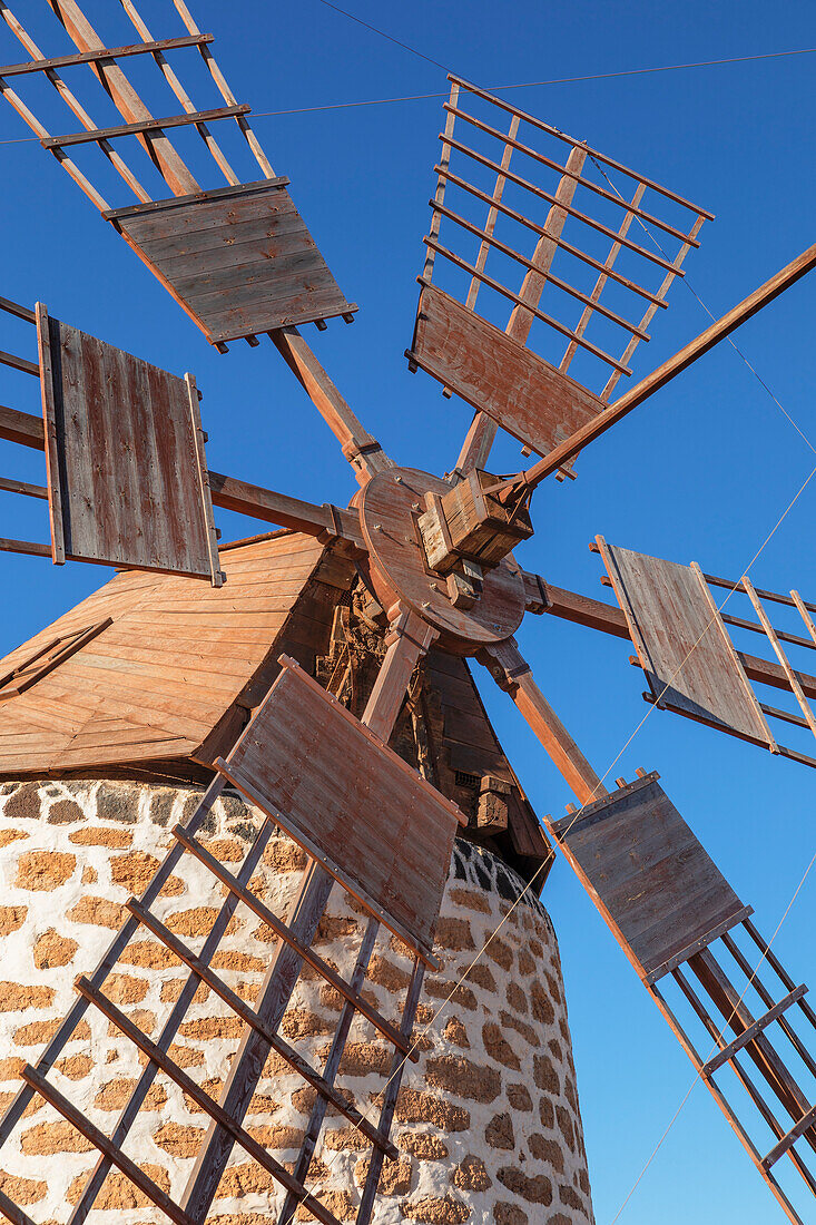 Traditionell windmill Molino de Tefia, Tefia, Fuerteventura, Canary Islands, Spain, Atlantic, Europe