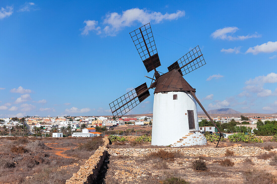 Traditionell windmill, Antigua, Fuerteventura, Canary Islands, Spain, Atlantic, Europe