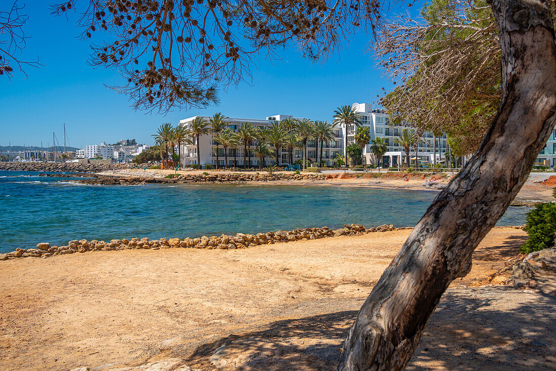 Blick auf den Strand von Cala Nieves mit Blick auf Santa Eularia des Riu, Ibiza, Balearische Inseln, Spanien, Mittelmeer, Europa