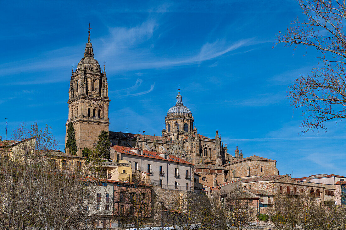 Town view from the Roman bridge, Salamanca, UNESCO World Heritage Site, Castile and Leon, Spain, Europe