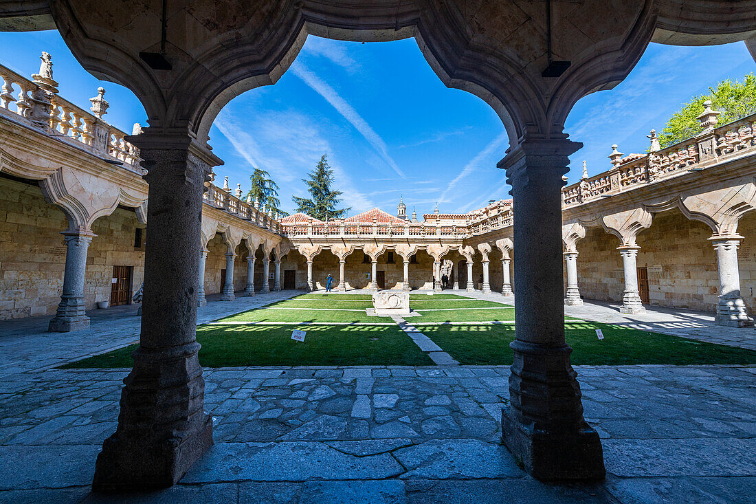 Escuelas Menores, Salamanca, UNESCO World Heritage Site, Castile and Leon, Spain, Europe