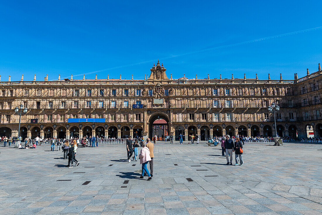 Plaza Mayor, Salamanca, UNESCO-Welterbe, Kastilien und Leon, Spanien, Europa