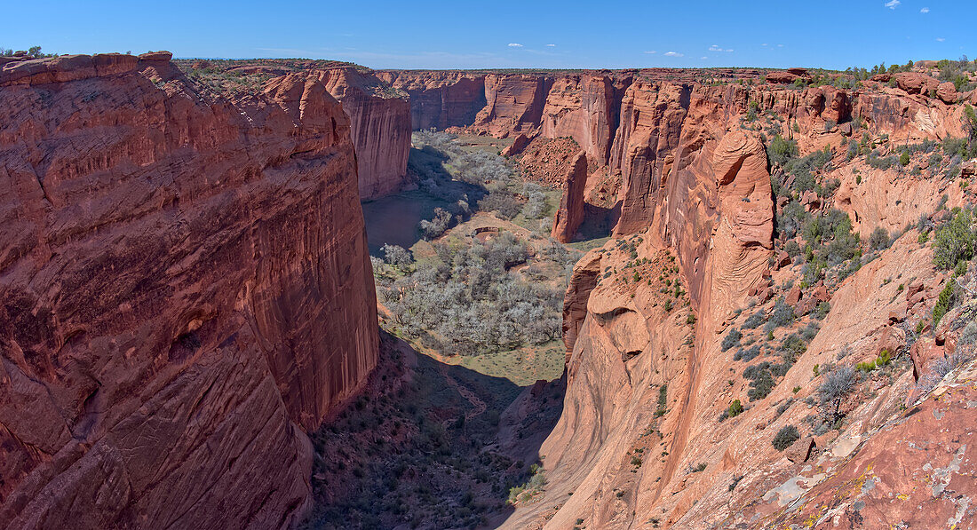 Spring Canyon in Canyon De Chelly National Monument viewed from the Sliding House Overlook on the south rim, Arizona, United States of America, North America