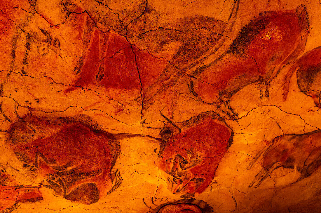 Altamira Cave, UNESCO World Heritage Site, Cantabria, Spain, Europe