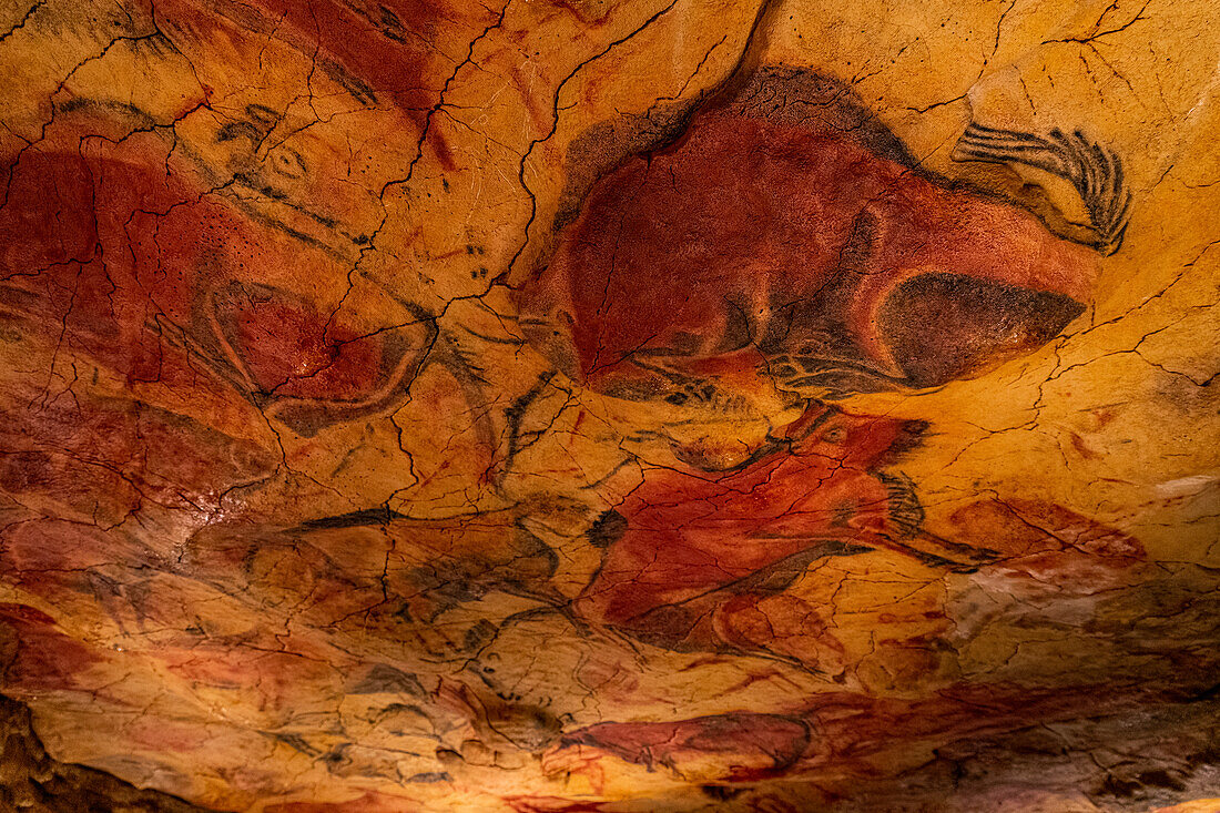 Höhle von Altamira, UNESCO-Welterbe, Kantabrien, Spanien, Europa
