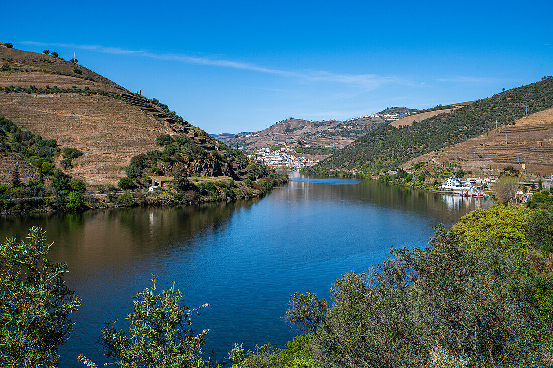 Blick über die Weinregion des Douro-Flusses, UNESCO-Welterbe, Portugal, Europa