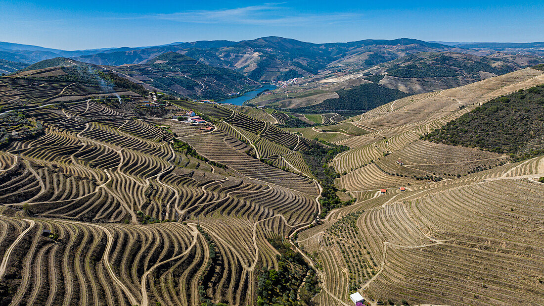 Luftaufnahme der Weinregion des Douro-Flusses, UNESCO-Welterbe, Portugal, Europa