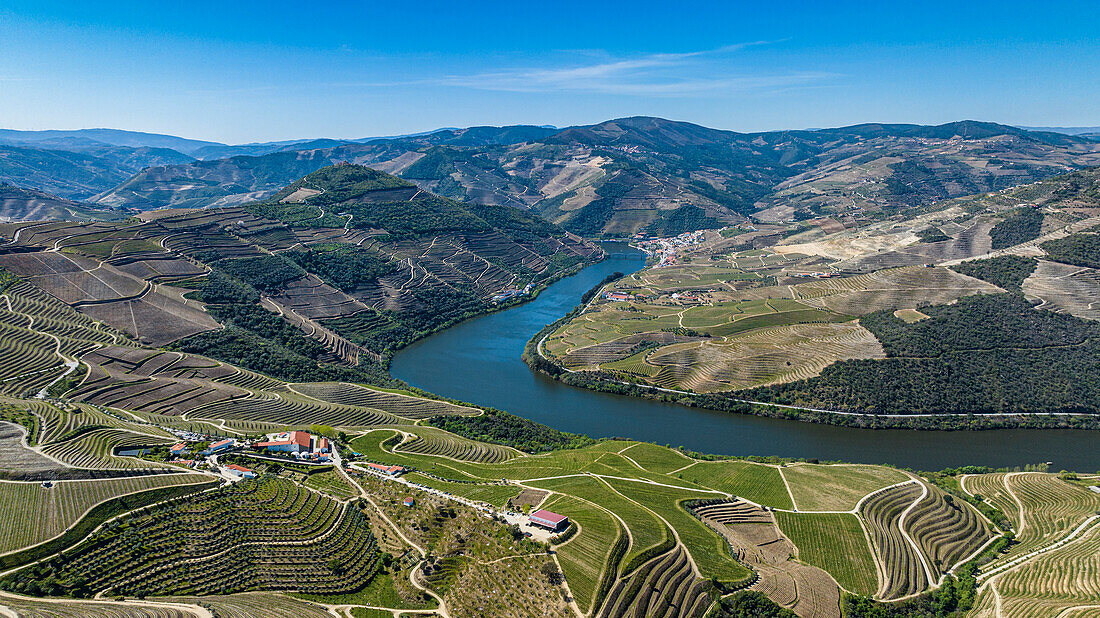 Luftaufnahme der Weinregion des Douro-Flusses, UNESCO-Welterbe, Portugal, Europa