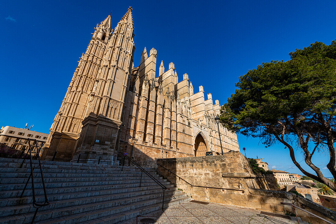 Cathedral of Palma, Mallorca, Balearic Islands, Spain, Mediterranean, Europe