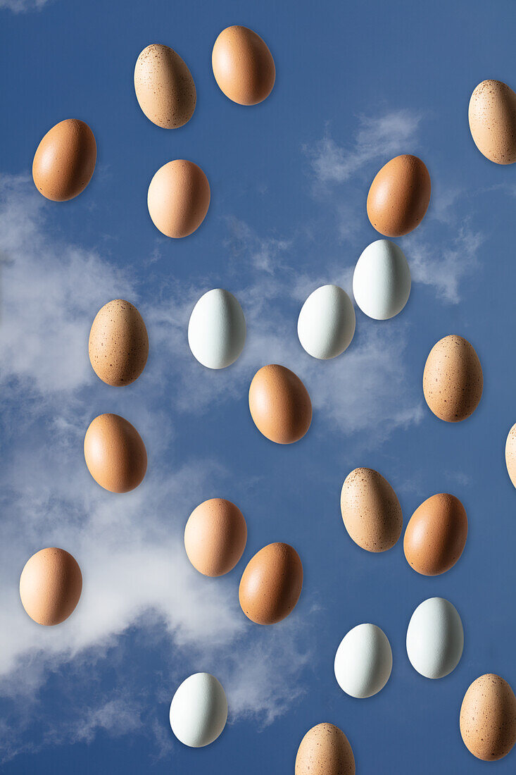 Eggs against a blue background