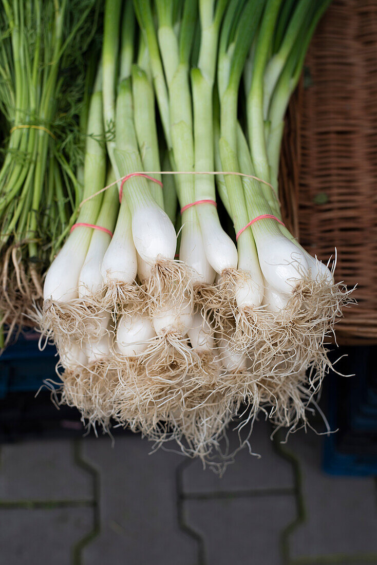 Frühlingszwiebeln auf dem Markt