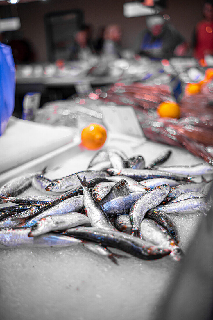 Fische auf einem Markt in der Bretagne