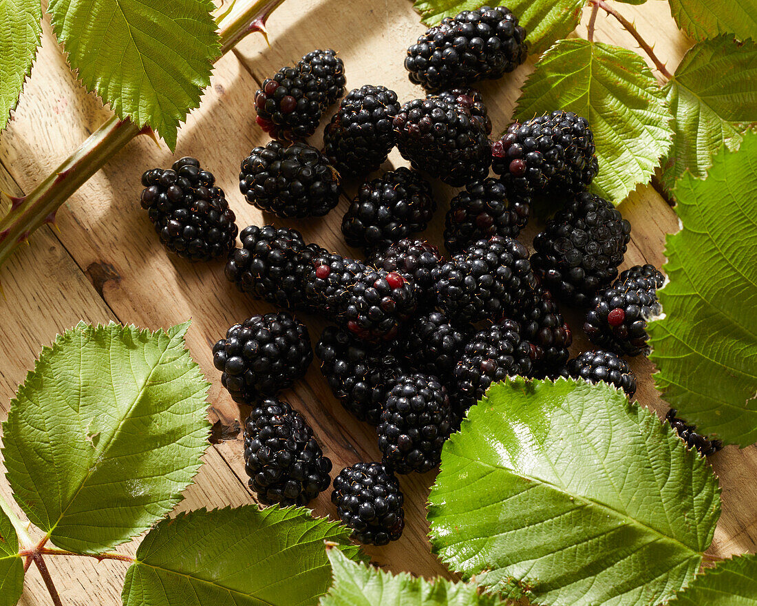 Blackberries