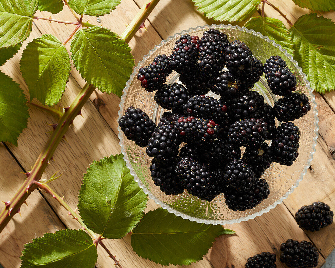 Brombeeren