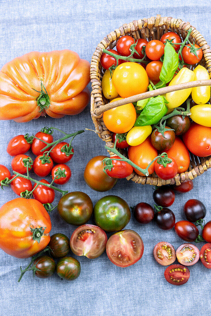 Vielfalt an Tomatensorten