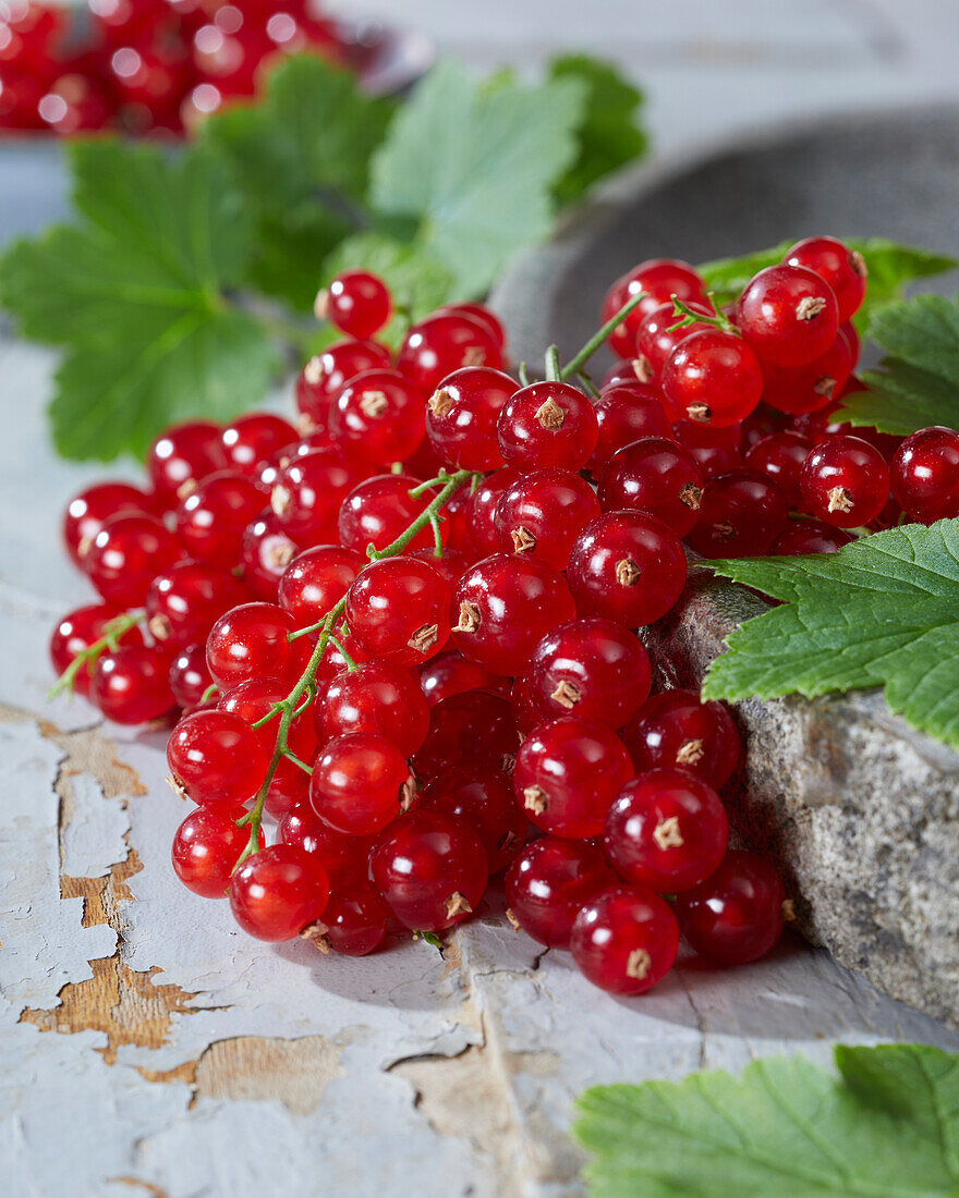 Rote Johannisbeeren