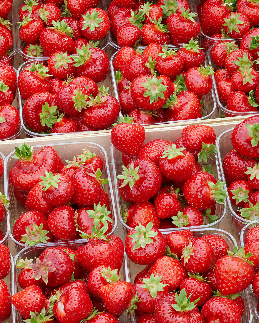 Strawberries in plastic containers