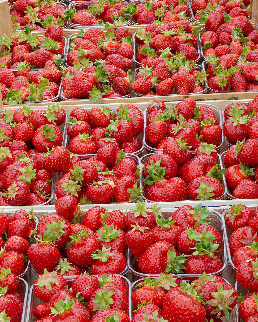 Strawberries in plastic containers