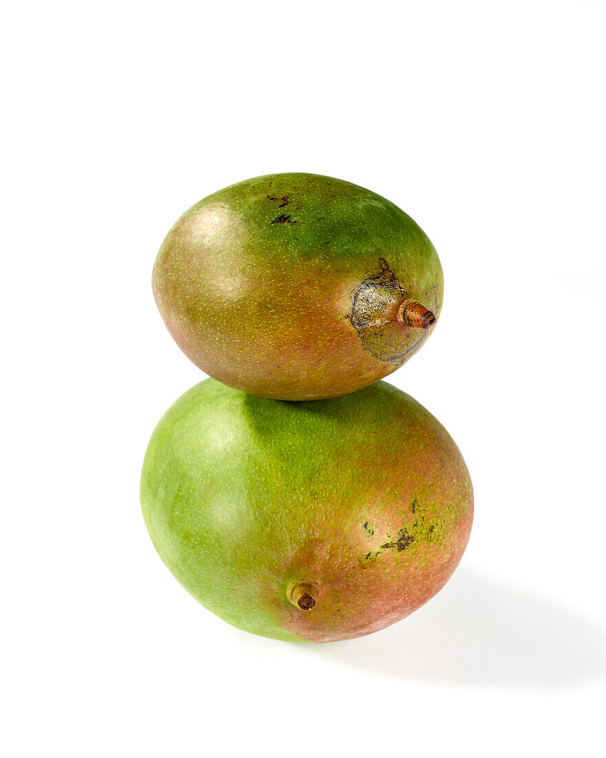 Green mango, Mangifera indica