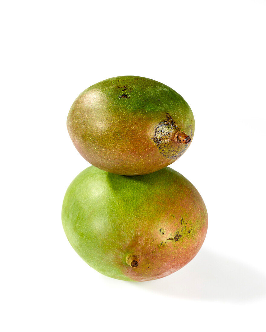 Grüne Mango (Mangifera indica)